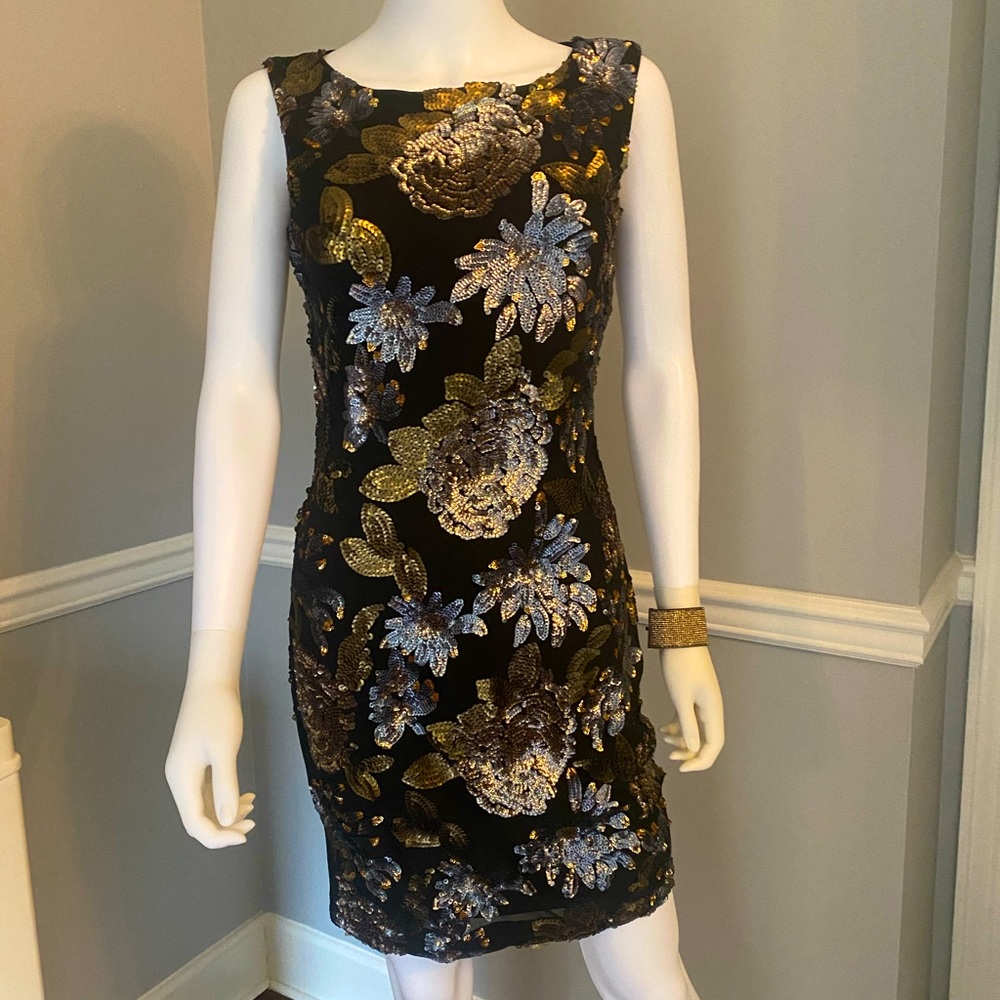NWT Cache dress. Very elegant and absolutely gorgeous. Beautifully embroidered.